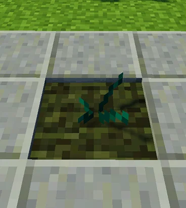 ender crop growth