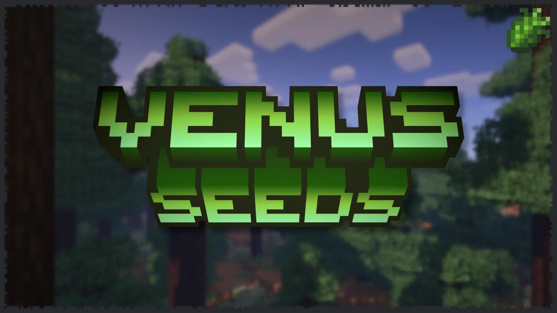 Venus Seeds Banner