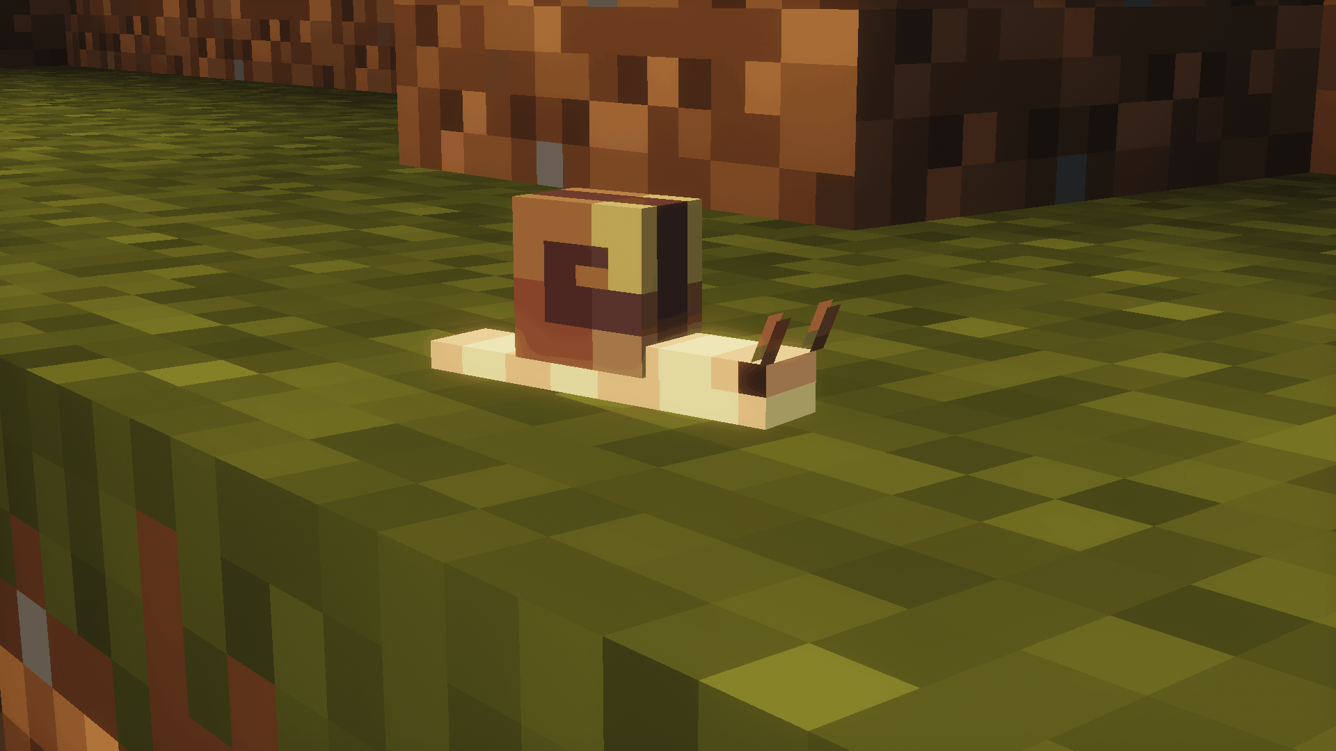 snail