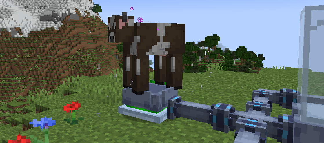 Imprinter scanning entity