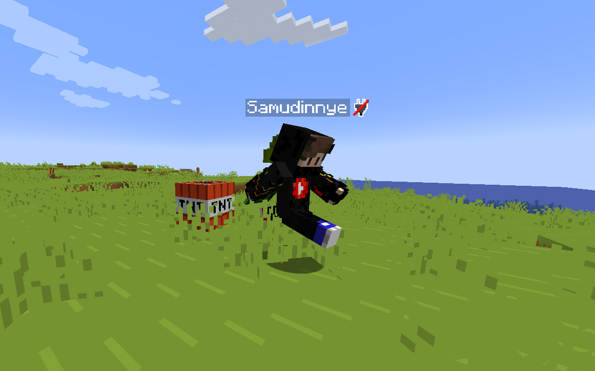 plugin 1