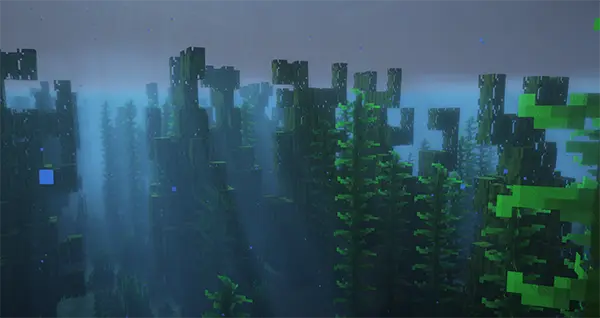 Large Kelp Grove