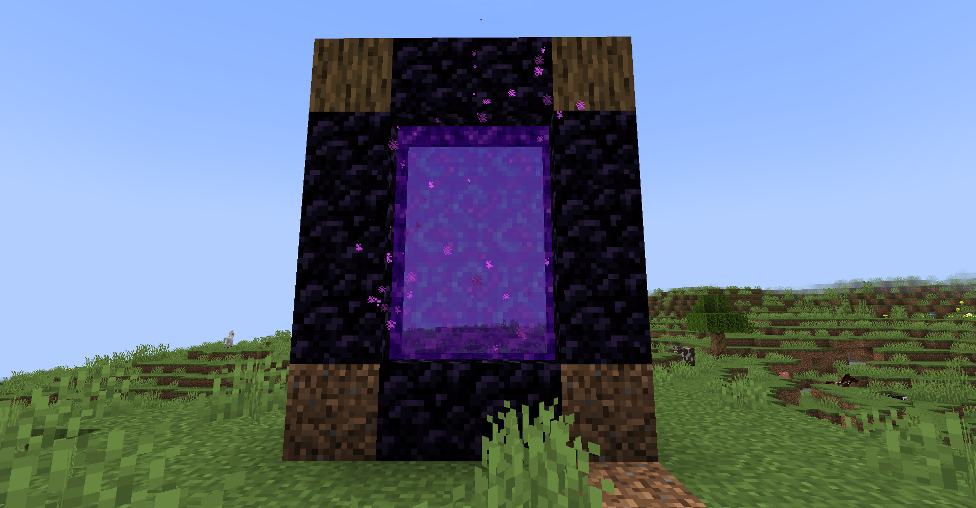 Forest Biomes Dimension Portal