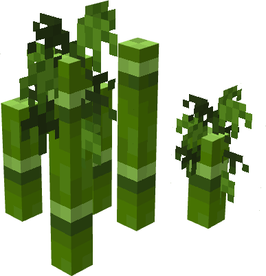 Bamboo - Variant 1