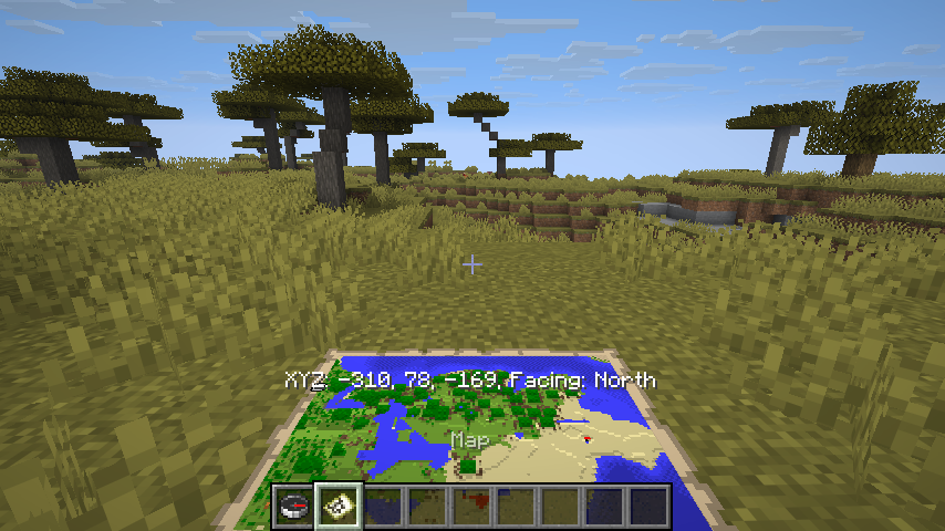 Maps and Compasses give you the coords and facing direction!