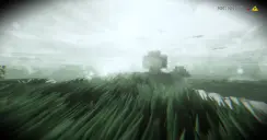 Grass