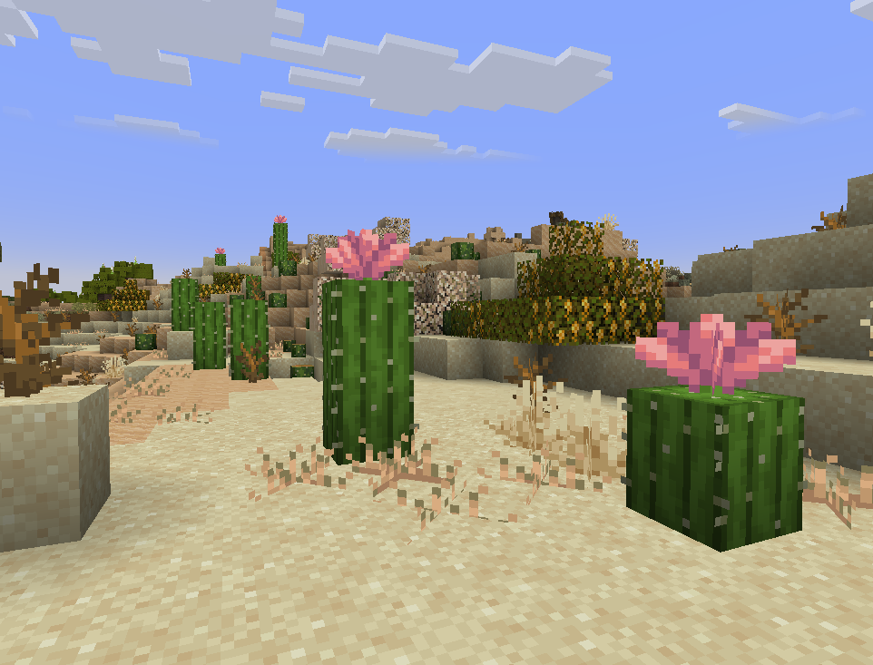 Scrubland (Atmospheric)