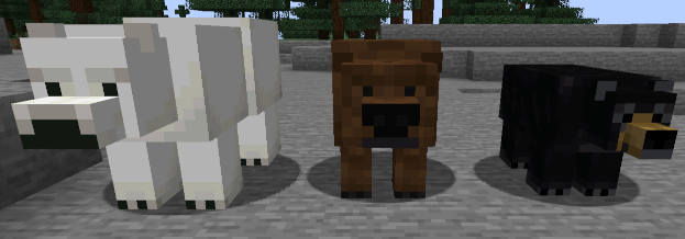 A polar bear, a brown bear, and a black bear standing in a line. The polar bear is noticeably larger.