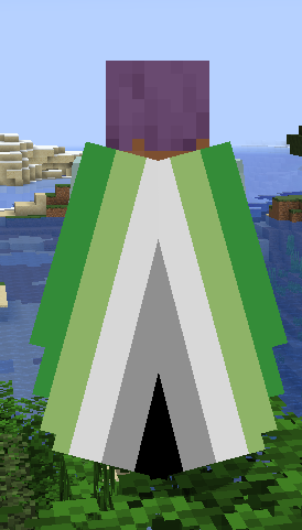 Aro Elytra