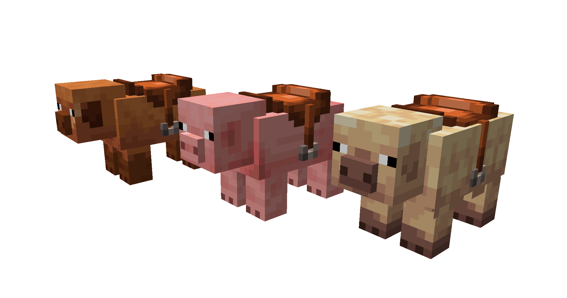 All three pig variants are lined up. Each of them is wearing a saddle.
