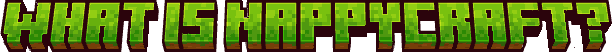 What is NappyCraft?