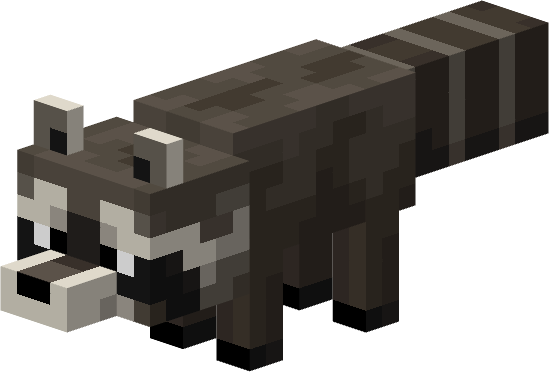 raccoon render