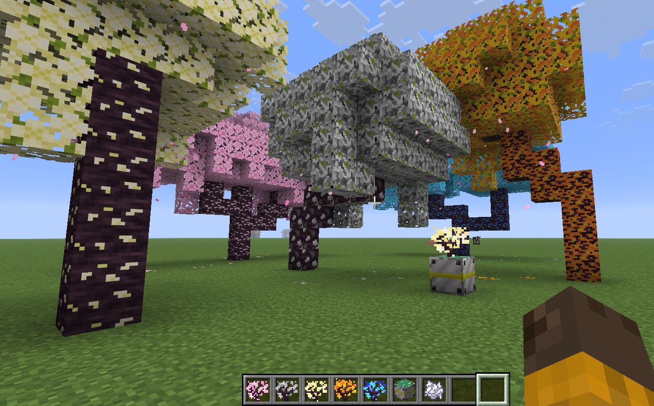 Lots of trees