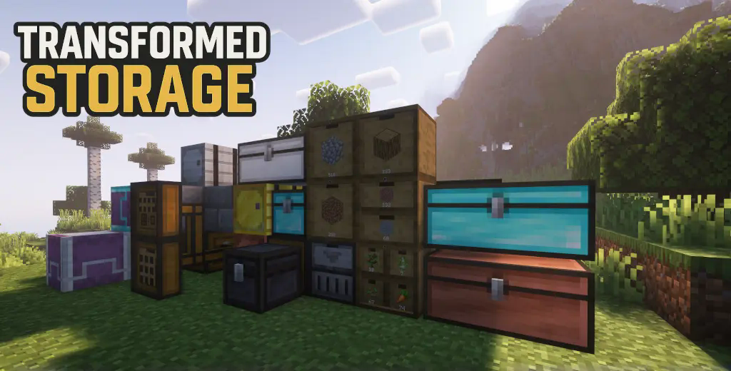 Transformed Storage Logo