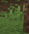 when you picked up the item hotbar show that