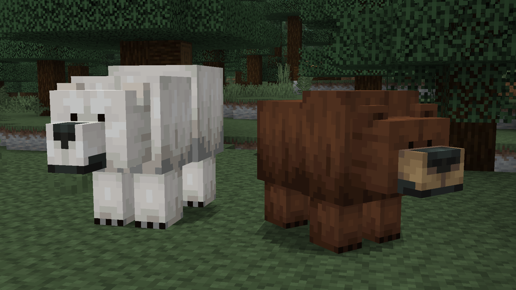 Polar Bear & Naturalist Bear Side By Side