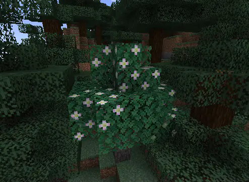 Apple Tree in the Taiga