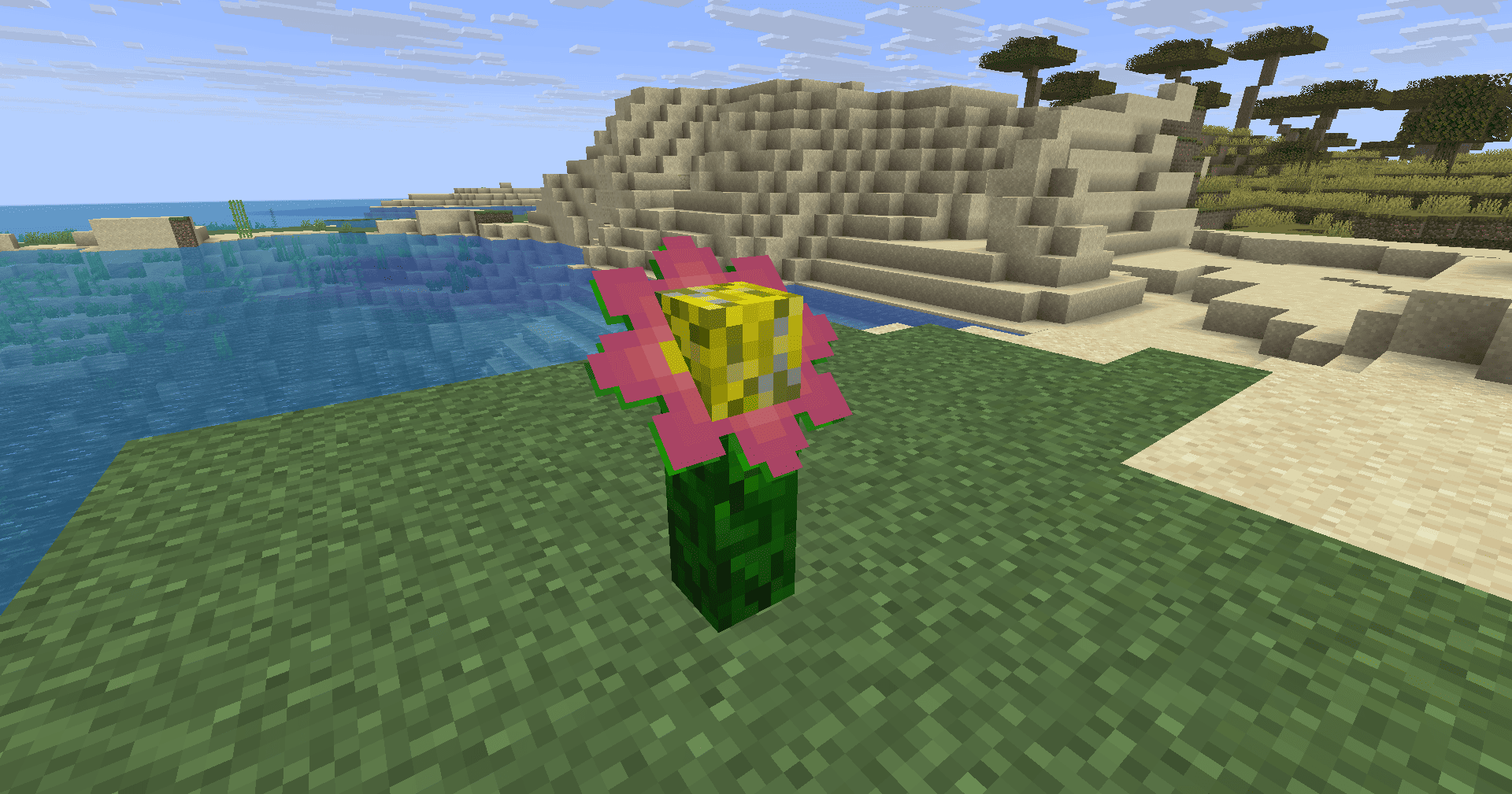 Overgrown Flower next to a beach
