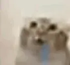 Mem