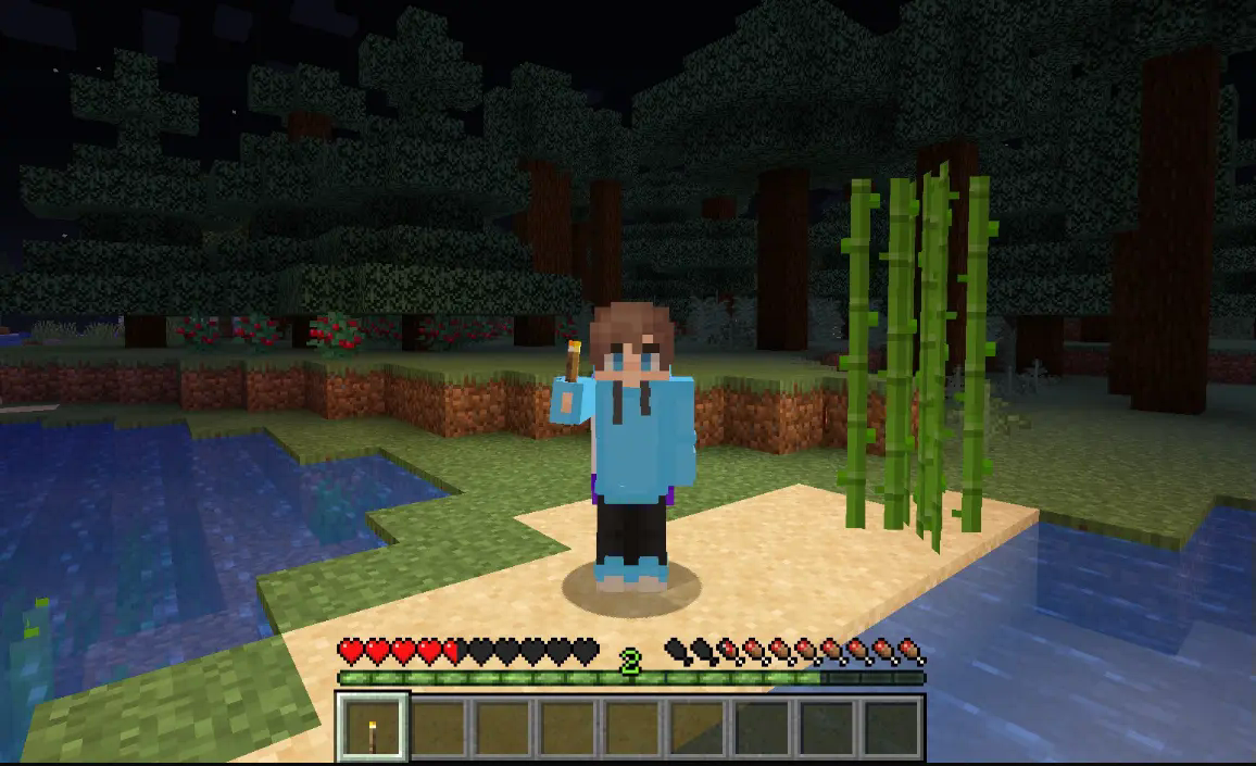 Dynamic Light Show case