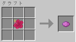 Magenta Hibiscus