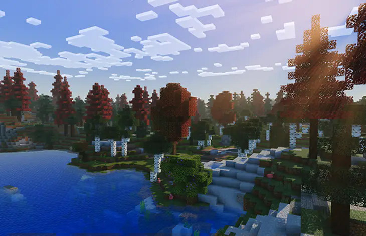 Forest