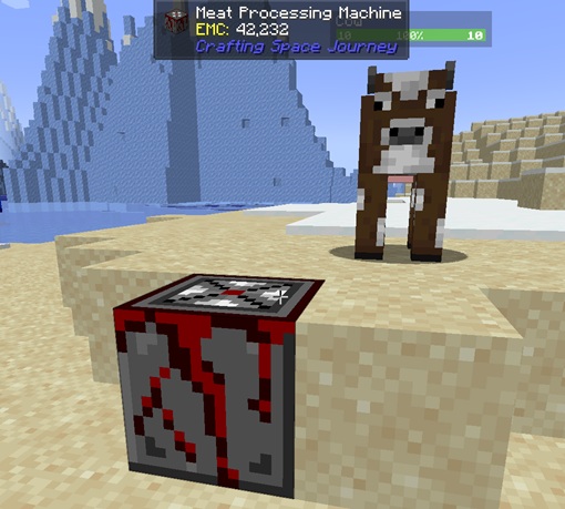 A cow near the meat processing machine