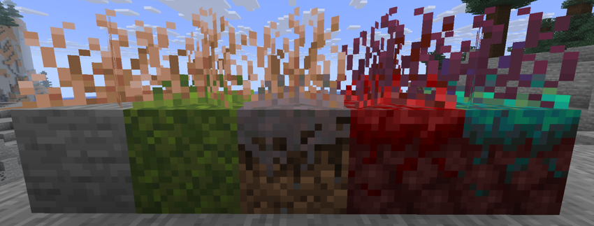 Image of all entangling roots block variants, from left to right: stripped variant on top of stone, mossy variant on top of moss block, mycelium variant on top of mycelium block, crimson variant on top of crimson nylium and warped variant on top of warped nylium