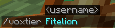 Command Input