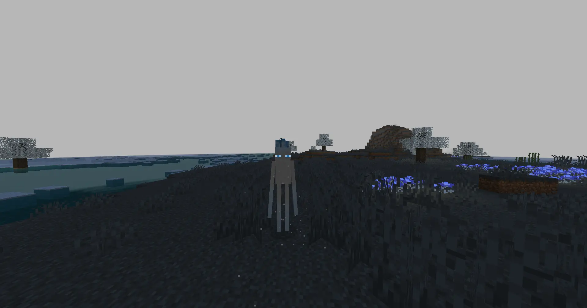 arcticenderman