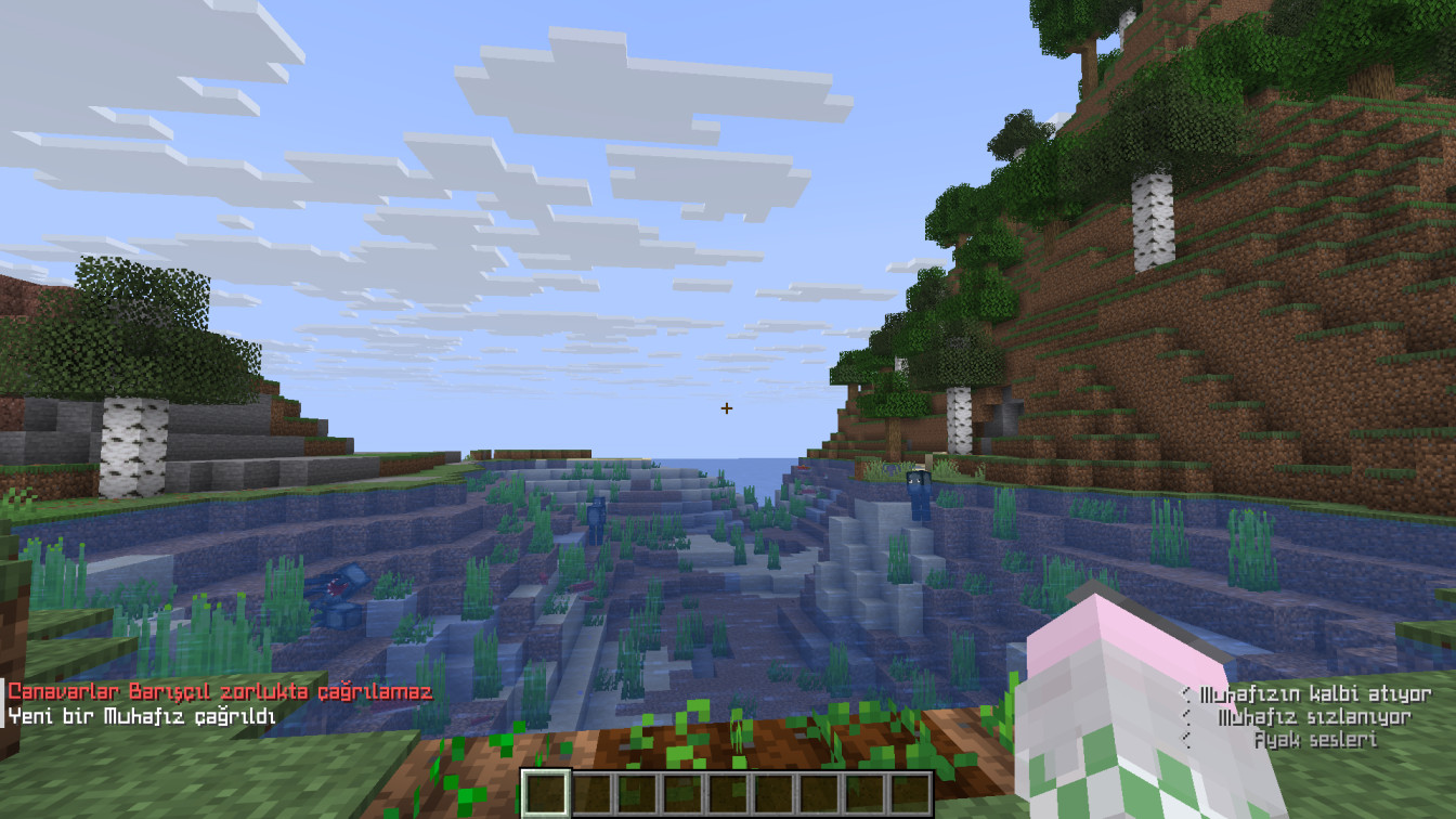 a brief preview