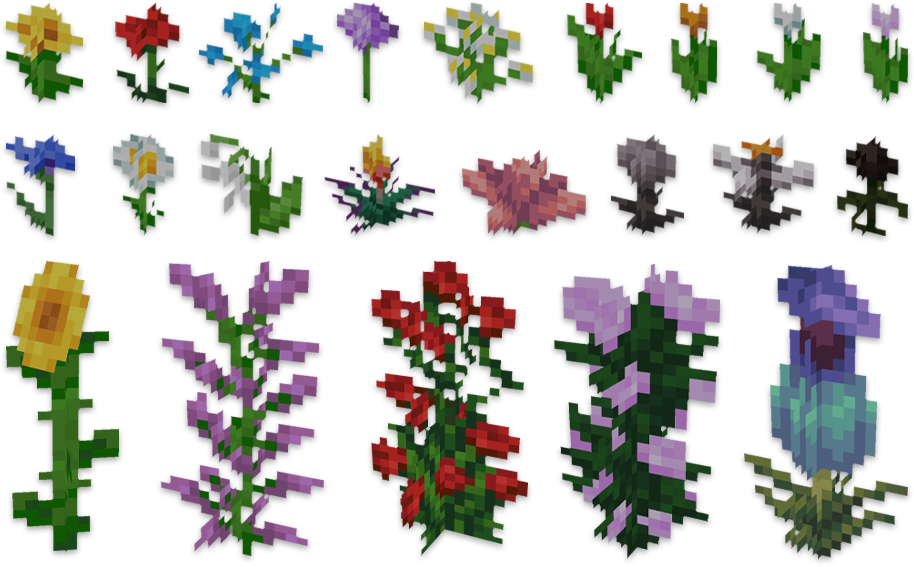 flowers and plants 3