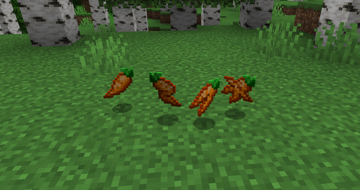 minecraft screenshot with 4 different types of carrot lying on the ground