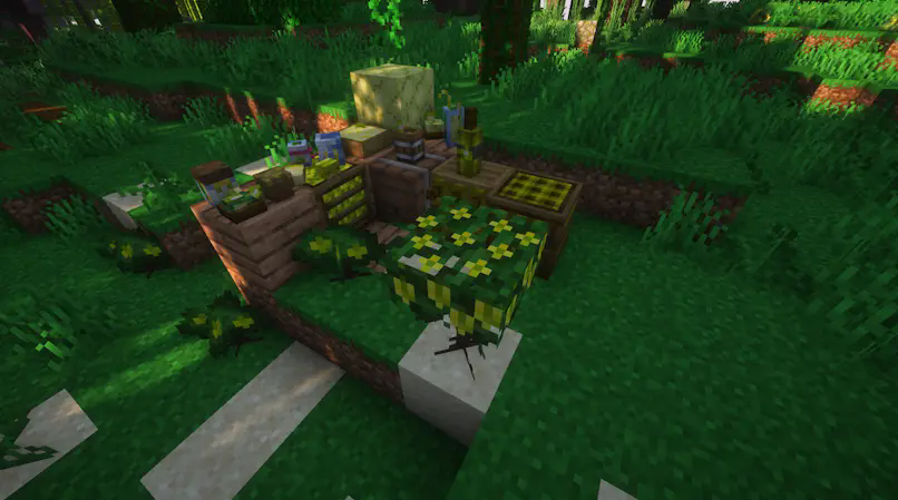 Starfruit Showcase