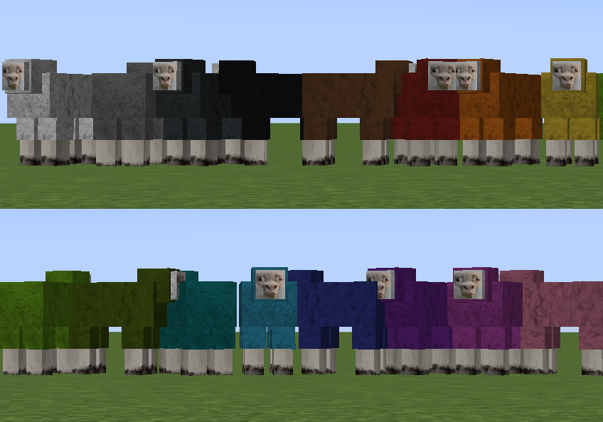 The sheep can be dyed to every color