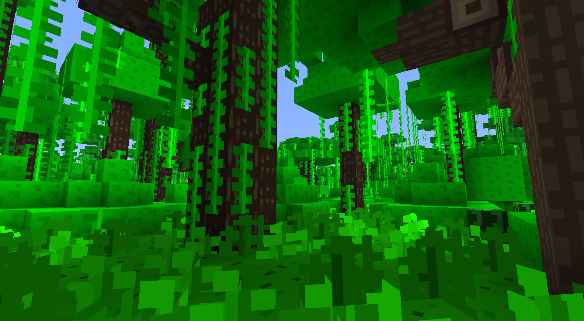 jungle