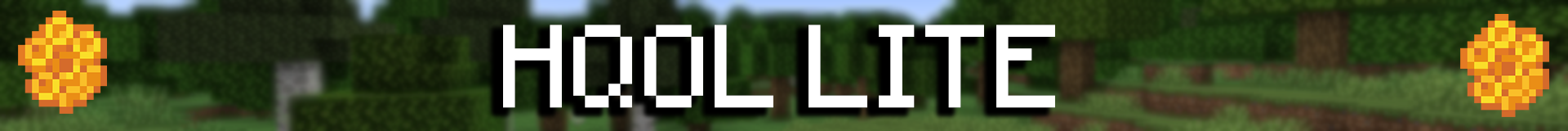 HQOL LITE BANNER