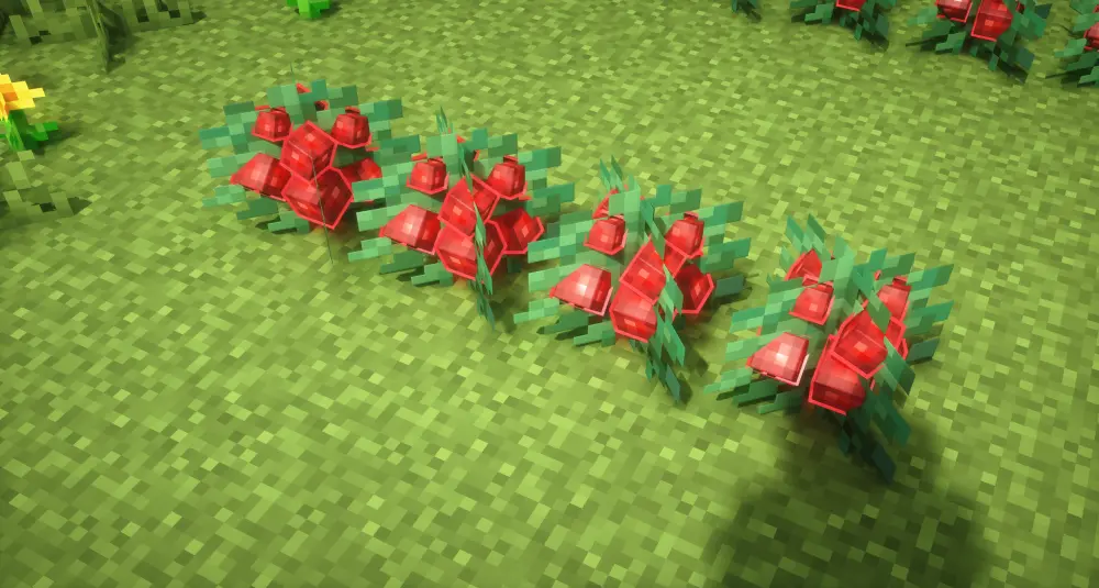 3D Berries