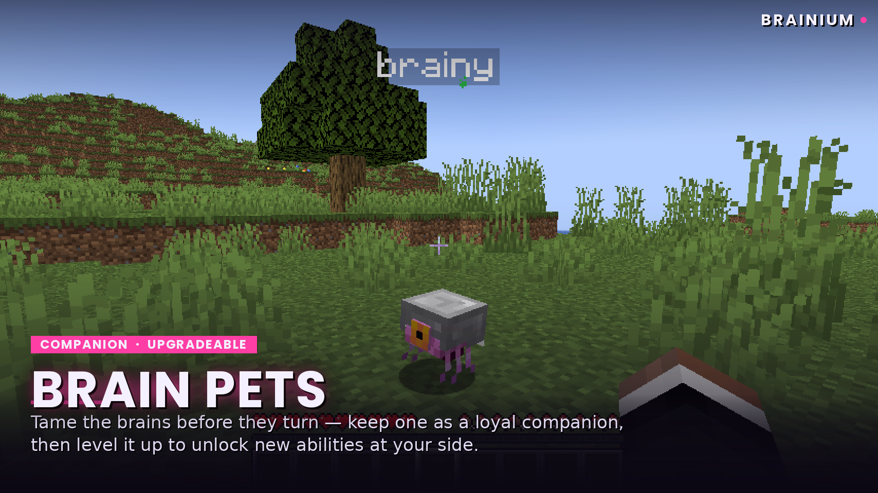 New Brainium Pets you can upgrade