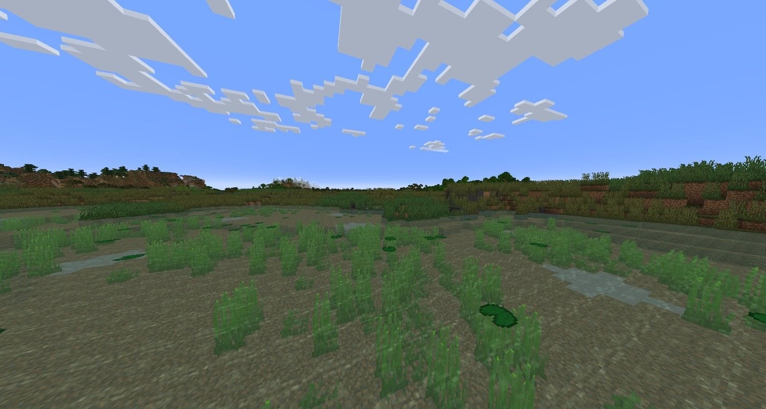 The Bog