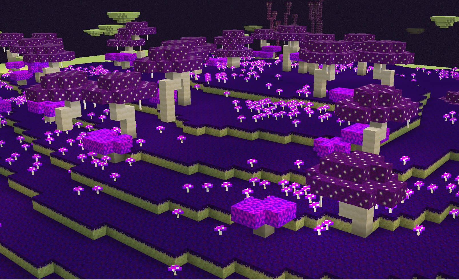 End Shroom Biome in End Update