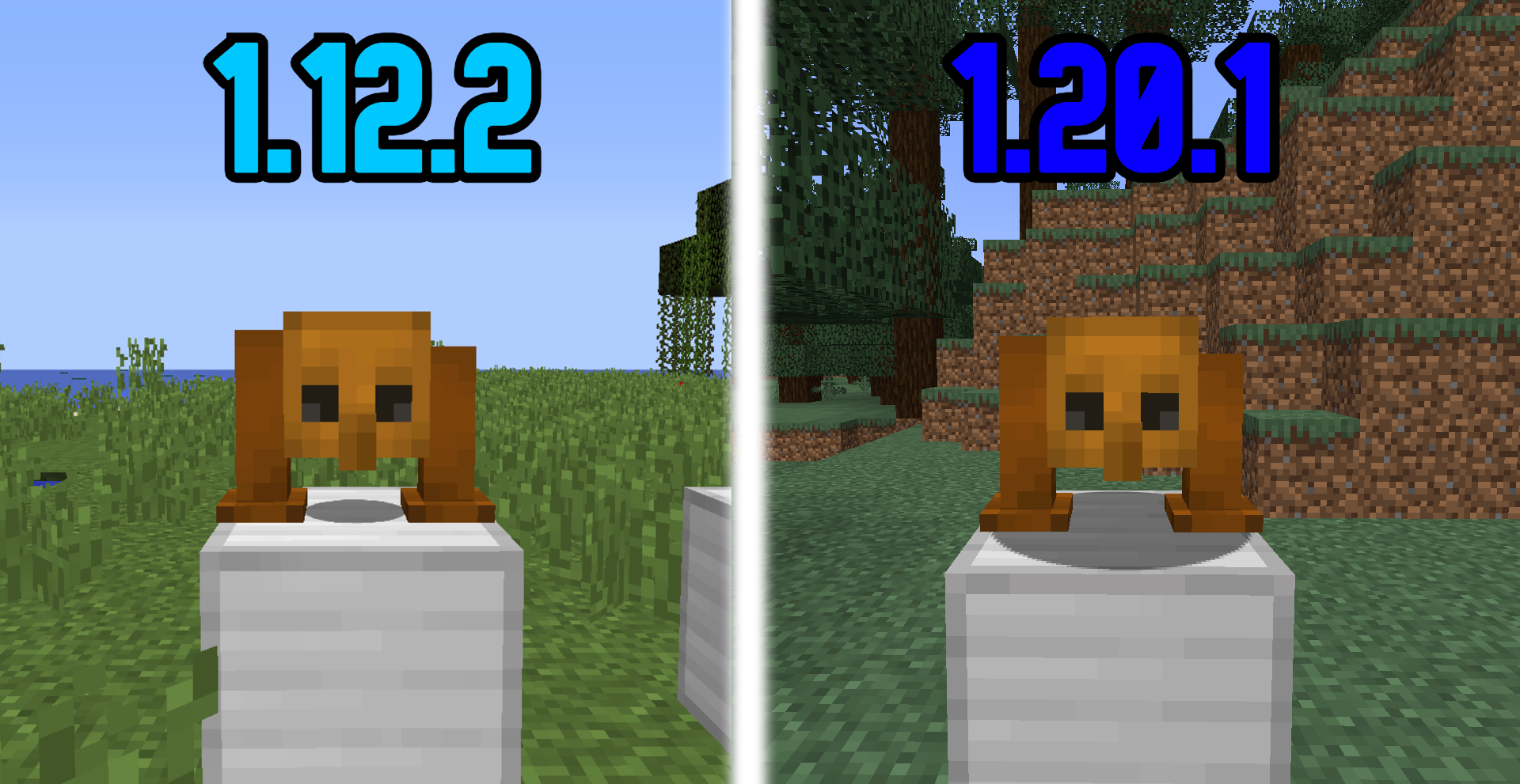 The diiferent Game Versions look