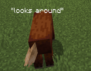 looks around eats grass