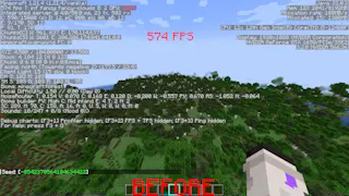 It's an image of the before the modpack telling fps and seed.