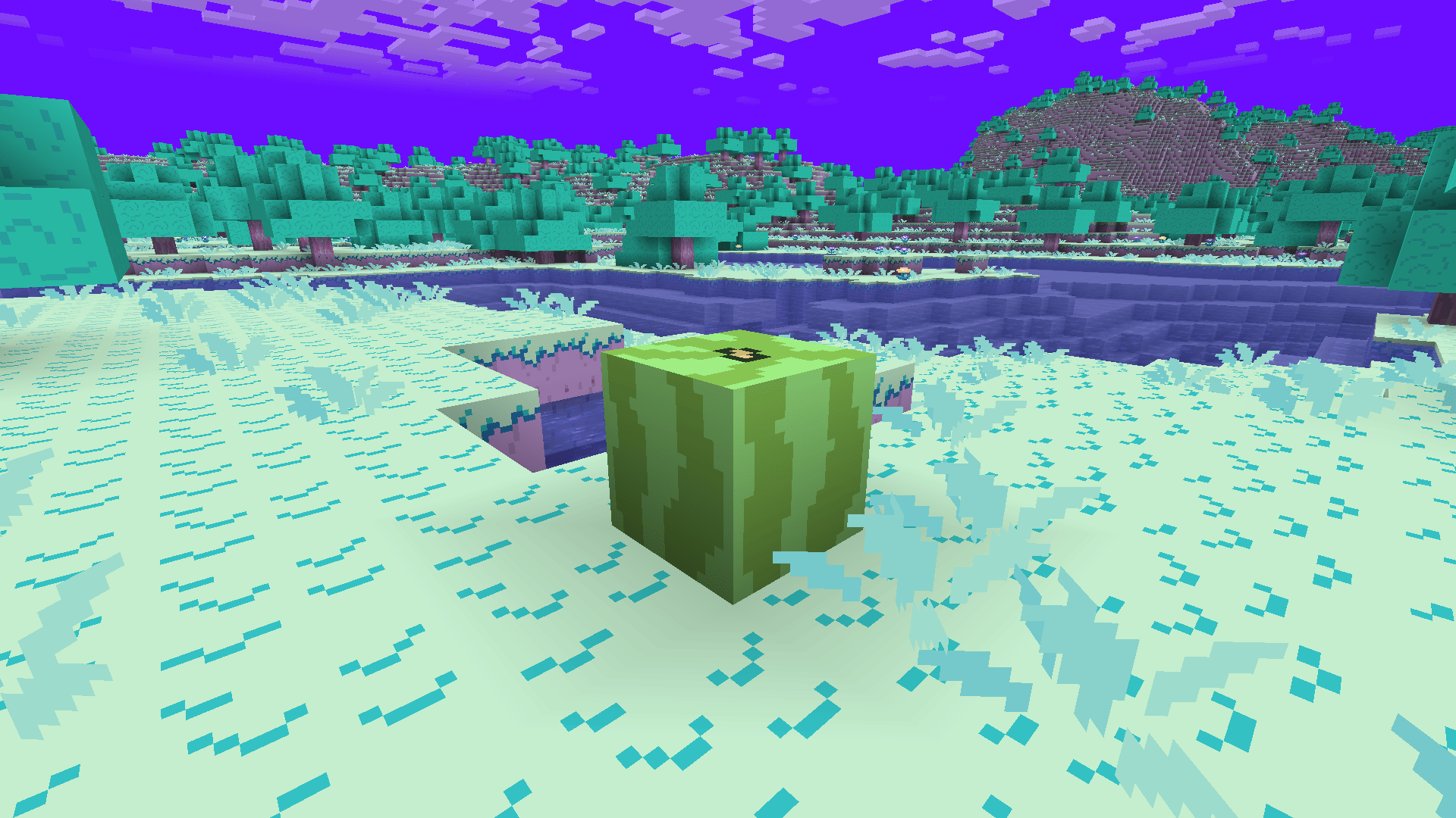 Watermelon Block