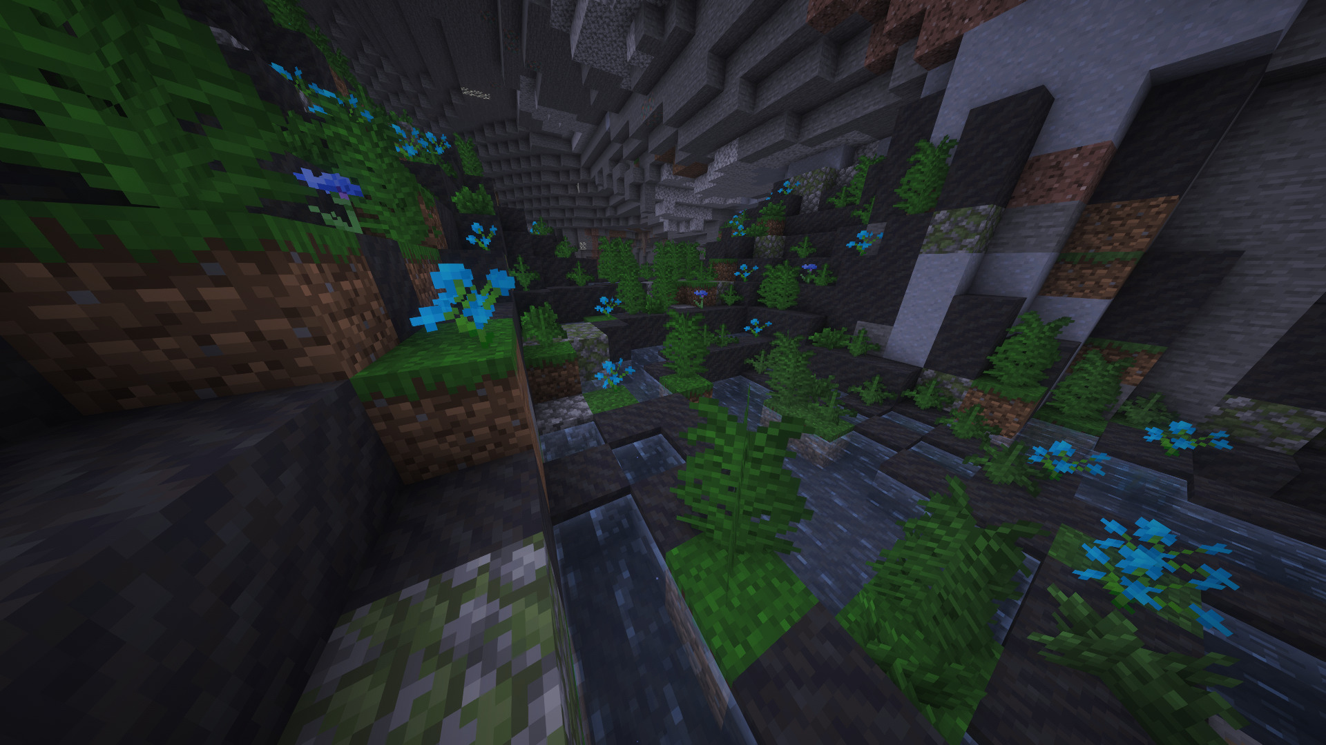 Tropical Vegetation