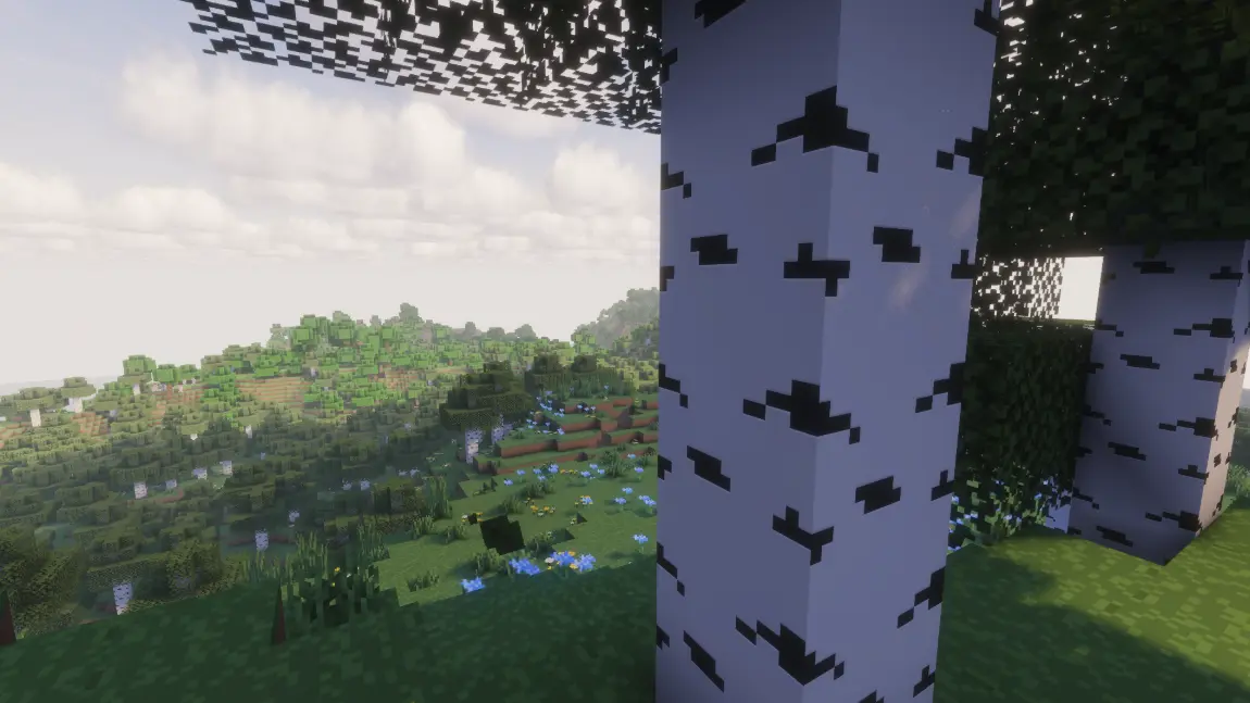 Feature Image, Birch Forest Solas Shaders