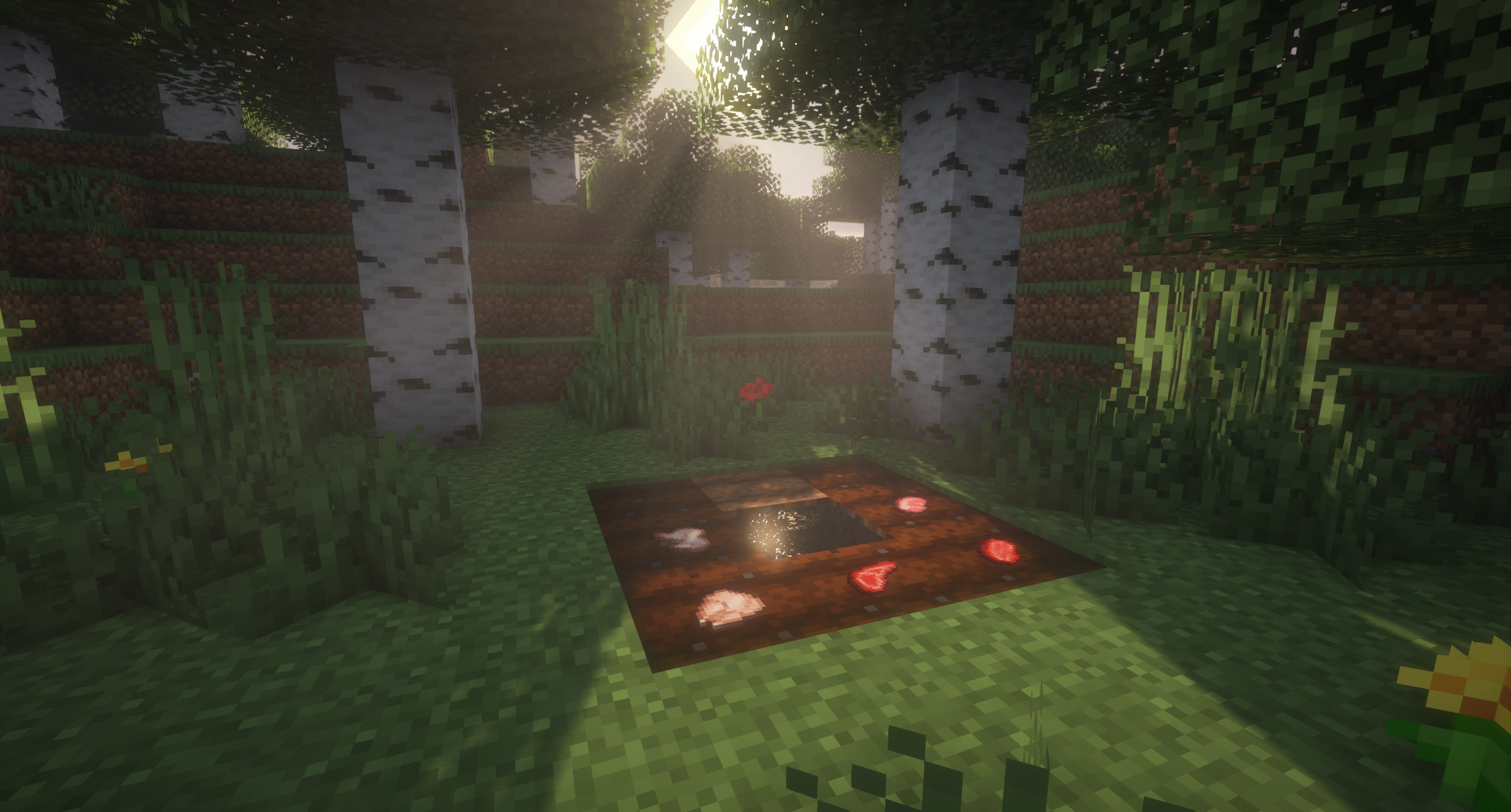 这张图片是 Minecraft 的截图。它显示了耕地的一块区域,土壤为深棕色,已浇水并准备好种植。在这块土壤上,有各种不同类型的肉类物品,就像土豆一样被种植在那里。耕地中间有一块水,闪烁着光反射。这个农场坐落在桦树林地带,有草、花,以及一些红色的蘑菇,带有白色的斑点。场景沐浴在日出的柔和光线下,营造出一种宁静的氛围。