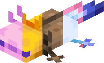 axolotl_variants