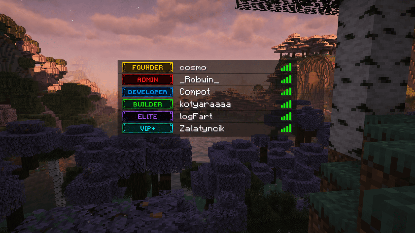 Example in player list